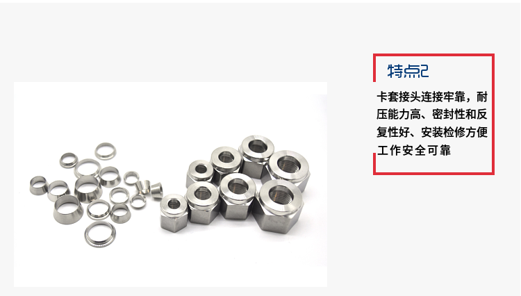 H12H高压气体止回阀(图3)