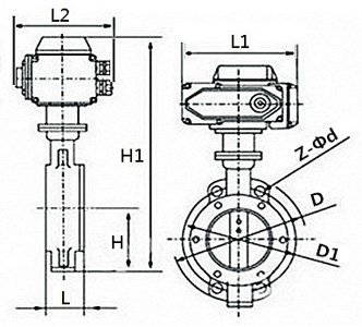 D973H防爆电动三偏心对夹蝶阀(图1)
